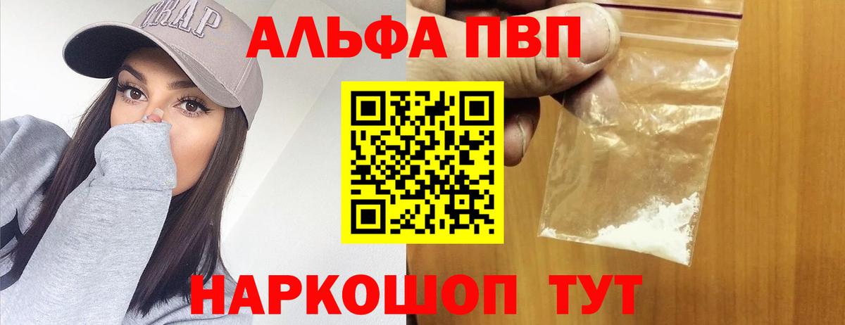Альфа ПВП СК КРИС Гудермес