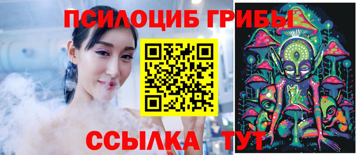 Галлюциногенные грибы Psilocybine cubensis Гудермес