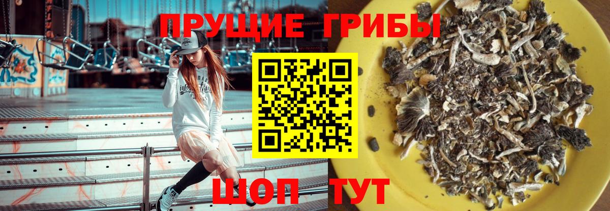 Гудермес  Псилоцибиновые грибы GOLDEN TEACHER  Вход с VPN  Псилоцибиновые грибы мухоморы 